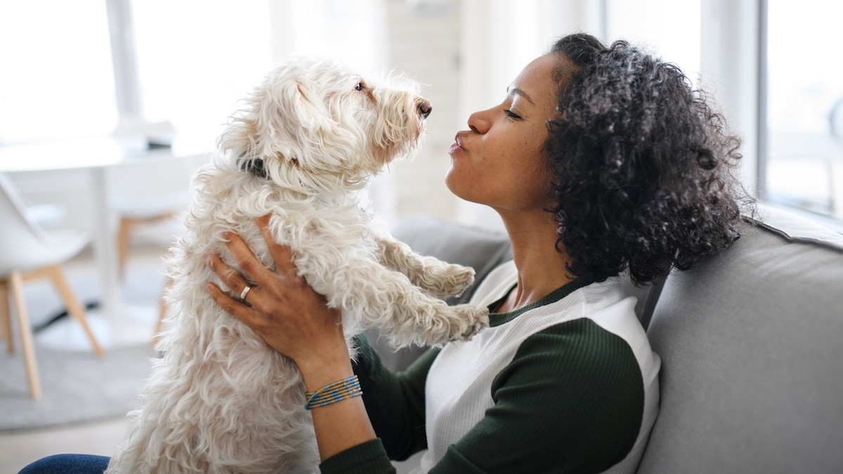 Creating the Ideal Present for People Who Love Animals