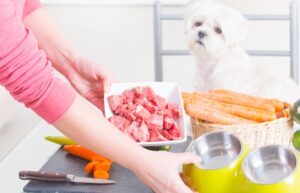 Pet Parents Are Rethinking Traditional Pet Food