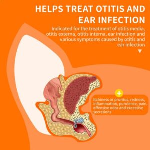 The Silent Invasion: How to Spot and Stop Ear Mites Before They Take Over