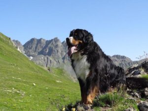 unnamed - 2025-01-23T142038.775