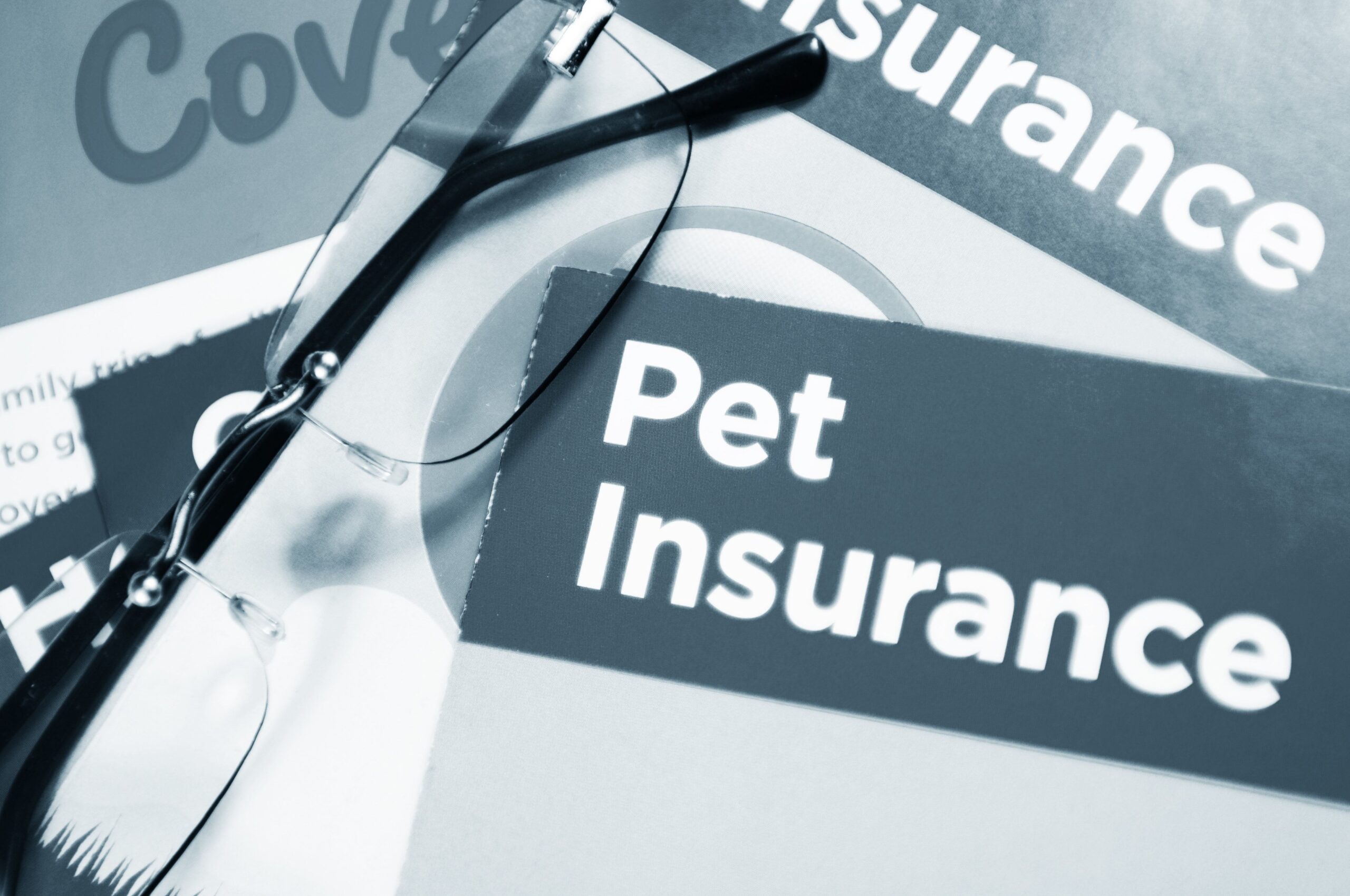 Finding Dynamic, Dependable, and Diverse Dog Insurance Delights in Dazzling Dog Defense