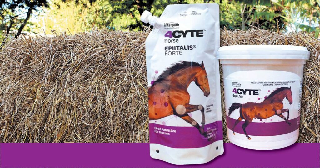 4cyte_gel_or_granules