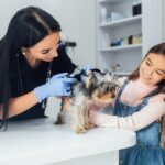 Emergency Vet Care for First-Time Pet Owners