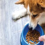 article_32492656_featured_1776860450