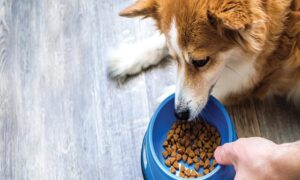 article_32492656_featured_1776860450