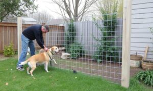 article_32493561_featured_1776945131