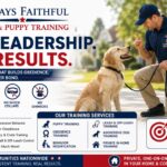 Always Faithful Dog Training Princeton & Mercer County NJ — Expert In-Home Dog Training That Actually Works