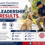 Expert Dog Training in Baltimore, MD — Always Faithful Dog & Puppy Training