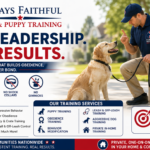 Always Faithful Dog & Puppy Training Charlotte NC — Real Results, No Gimmicks