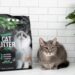 Cat Litter and Allergies: The Connection Most Owners Don’t Think to Check
