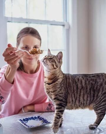 Creating Consistent Feeding Routines that Encourage Healthy Eating Patterns for Cats