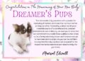Chihuahua Puppies for Sale in Tennessee: Everything You Need to Know Before You Buy