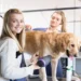 4 Key Signs It’s Time to Visit Professional Dog Groomers in Bountiful
